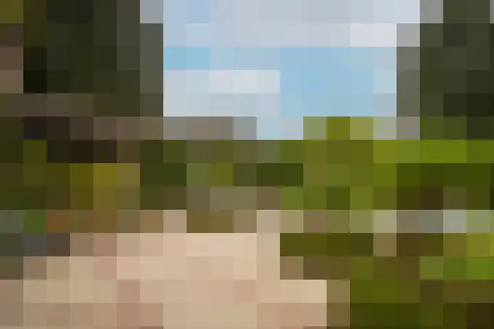 Waaldijk 97 Brakel thumbnail 53