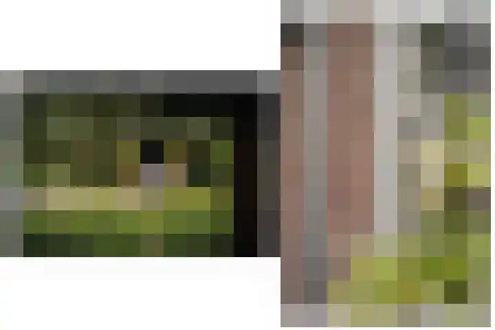 Waaldijk 97 Brakel thumbnail 57