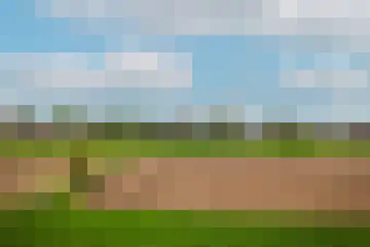 Waaldijk 97 Brakel thumbnail 59
