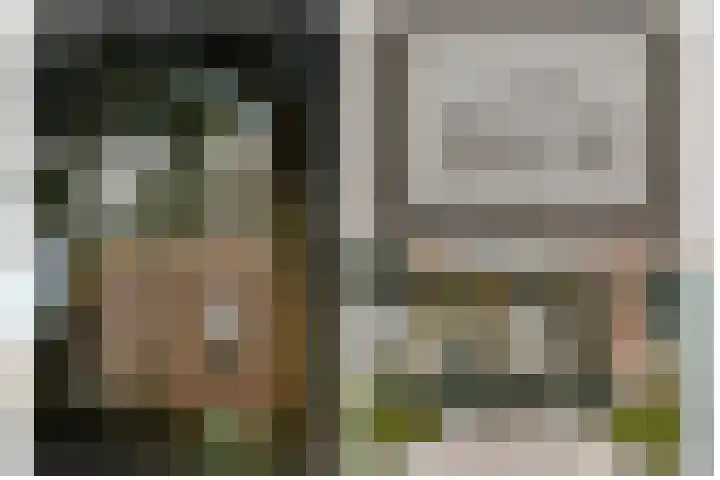 Waaldijk 97 Brakel thumbnail 8