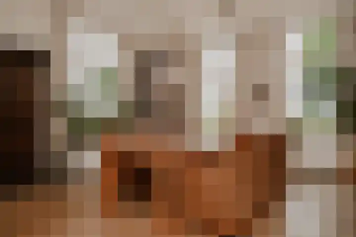 Waaldijk 97 Brakel thumbnail 9