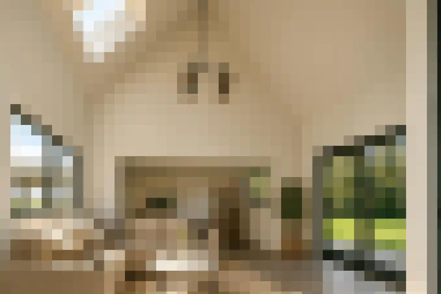 Waalweg 5 Ridderkerk thumbnail 5