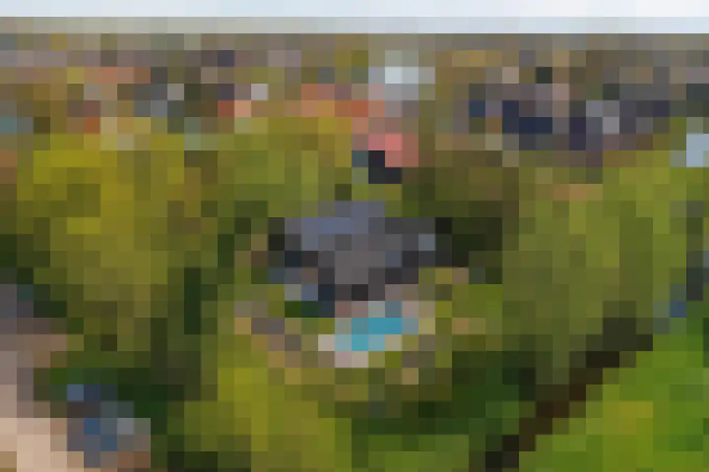 Waalweg 5 Ridderkerk thumbnail 6