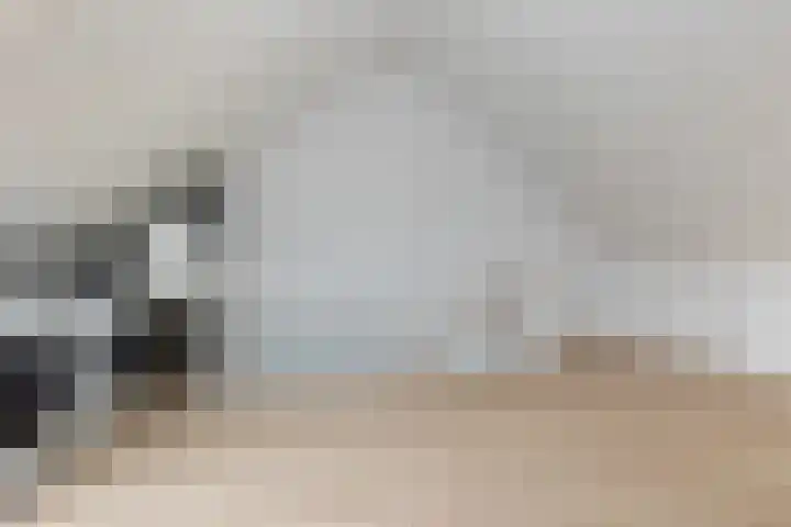 Waard 24 Kampen thumbnail 20