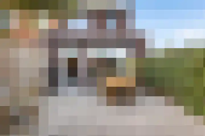 Waard 24 Kampen thumbnail 21