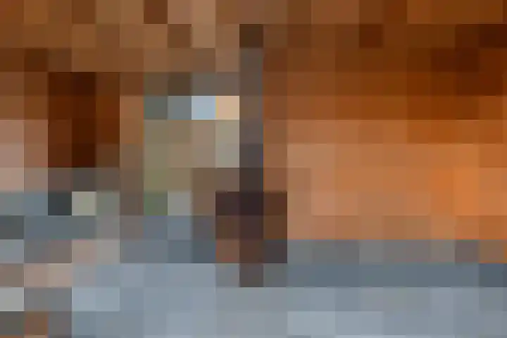Waard 24 Kampen thumbnail 24
