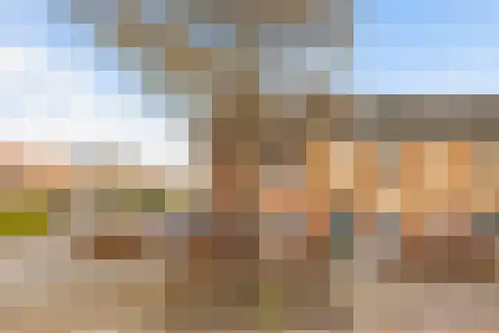 Waard 24 Kampen thumbnail 27