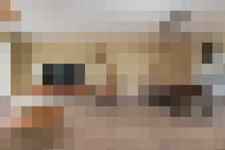 Waard 24 Kampen thumbnail 7