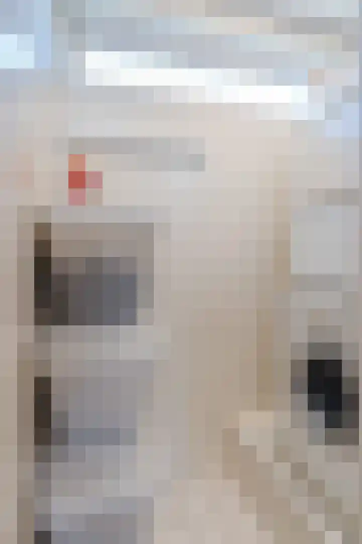 Waardakker 9 Breda thumbnail 24