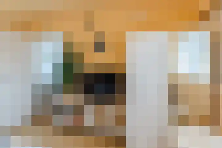 Waardakker 9 Breda thumbnail 29