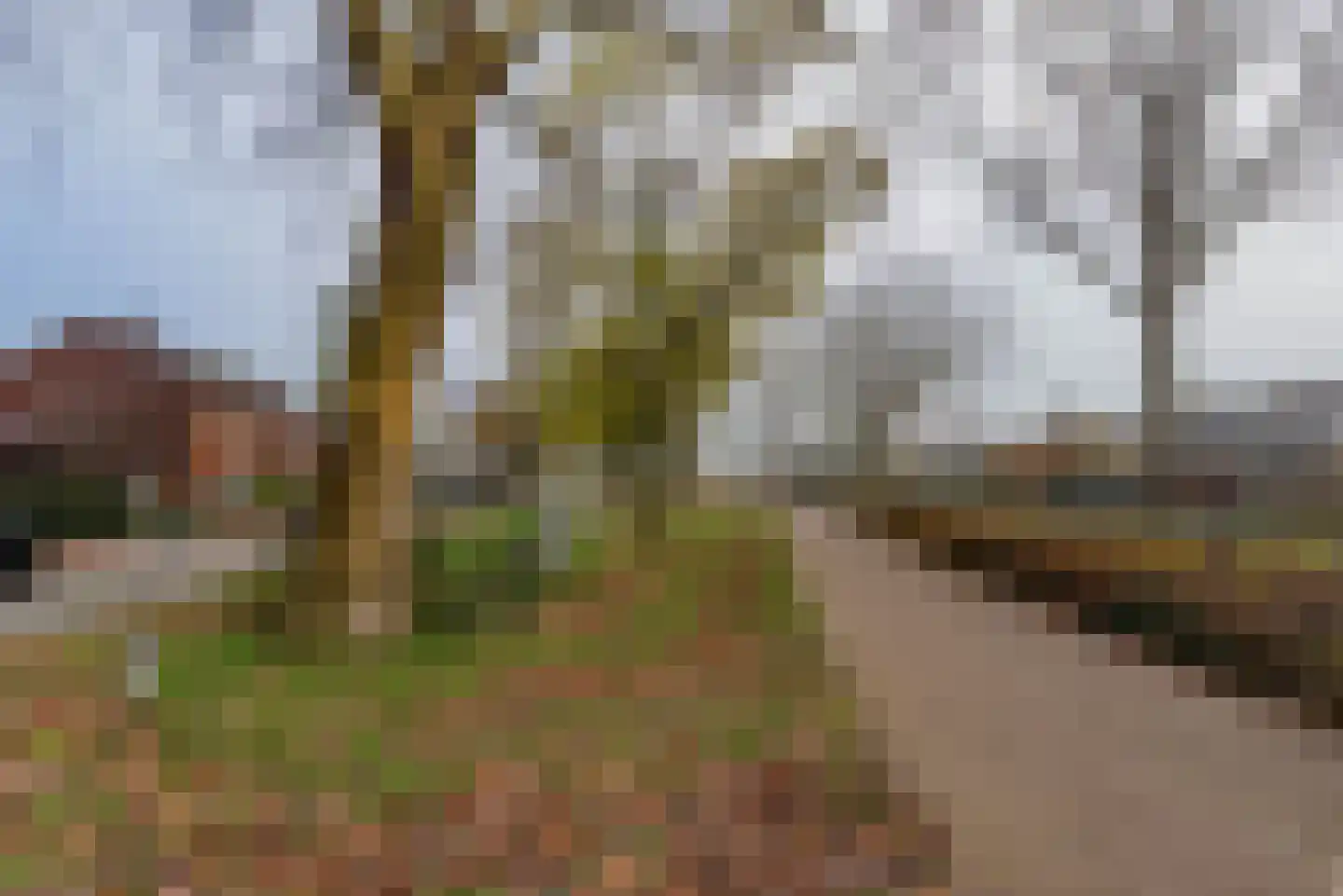 Waardassackerstraat 7 Abcoude thumbnail 27
