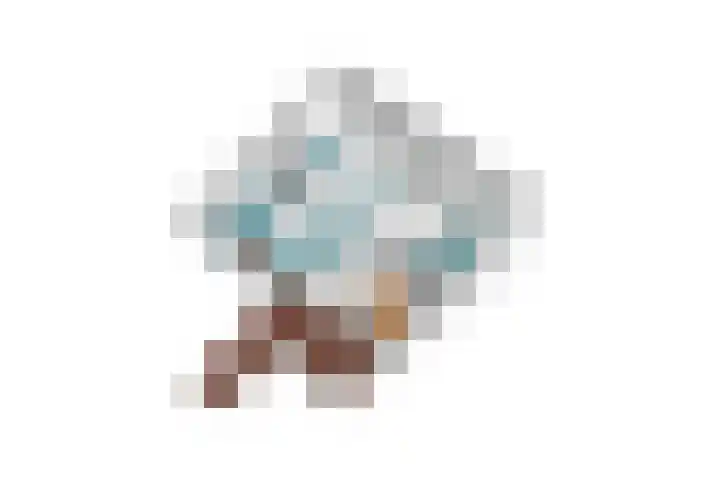 Waardeel 13 Steenwijk thumbnail 15
