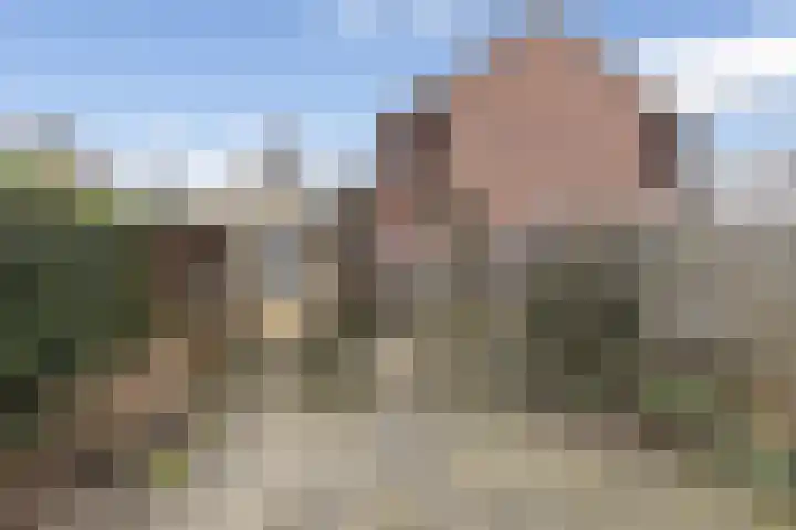 Waardeel 13 Steenwijk thumbnail 4