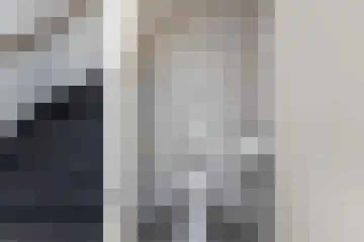 Waardeel 13 Steenwijk thumbnail 6