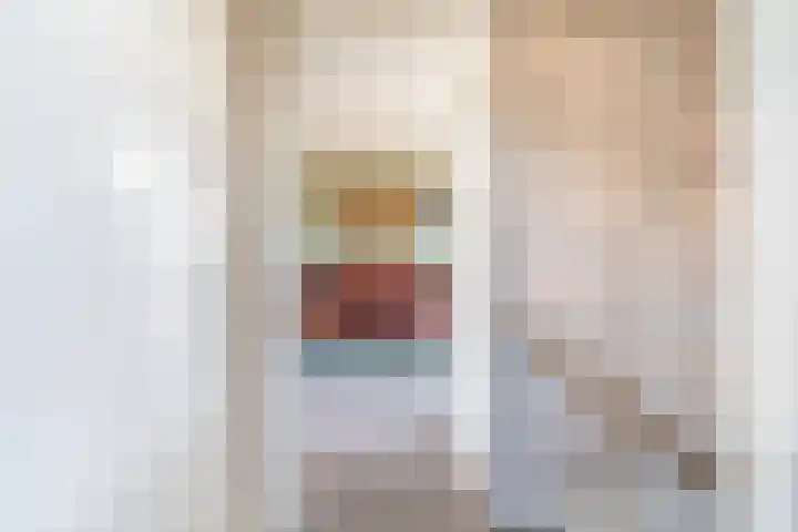 Waardeel 20 Steenwijk thumbnail 12