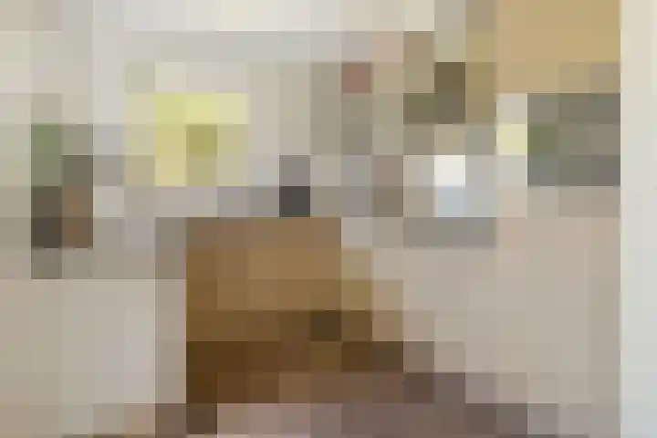 Waardeel 20 Steenwijk thumbnail 4