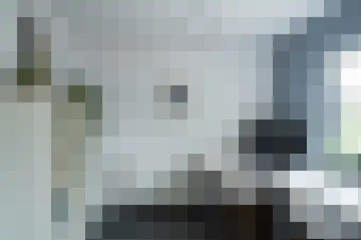 Waardeel 24 Drempt thumbnail 12