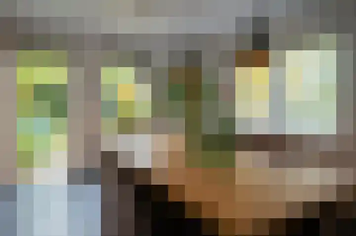 Waardeel 24 Drempt thumbnail 16