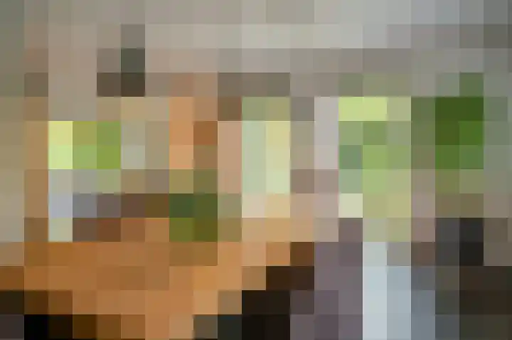 Waardeel 24 Drempt thumbnail 17