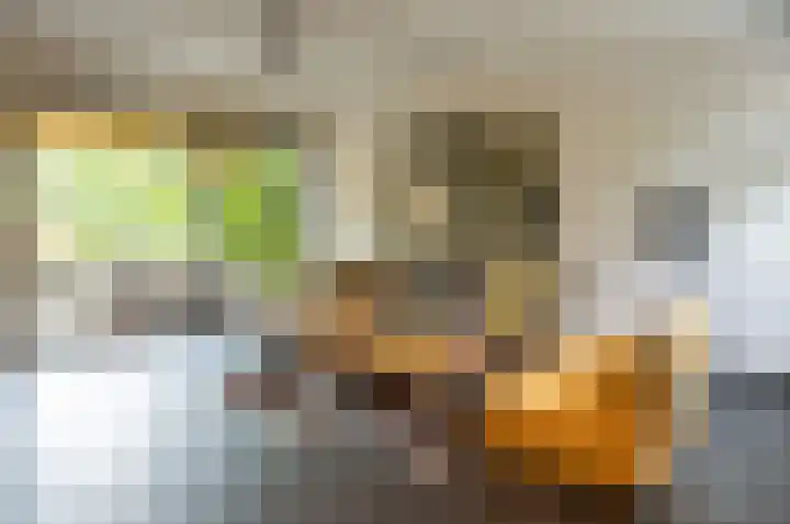 Waardeel 24 Drempt thumbnail 19