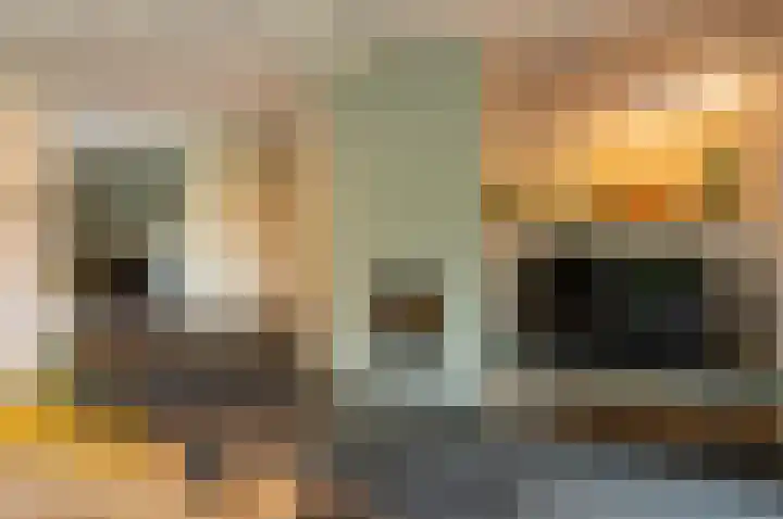 Waardeel 24 Drempt thumbnail 23