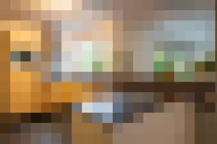 Waardeel 24 Drempt thumbnail 25