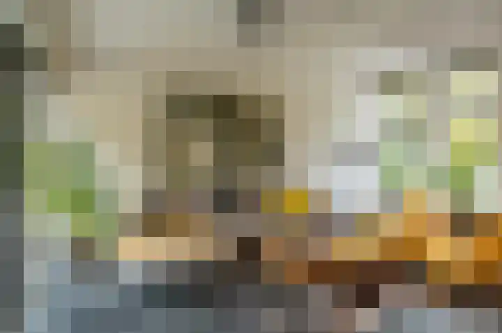 Waardeel 24 Drempt foto 3