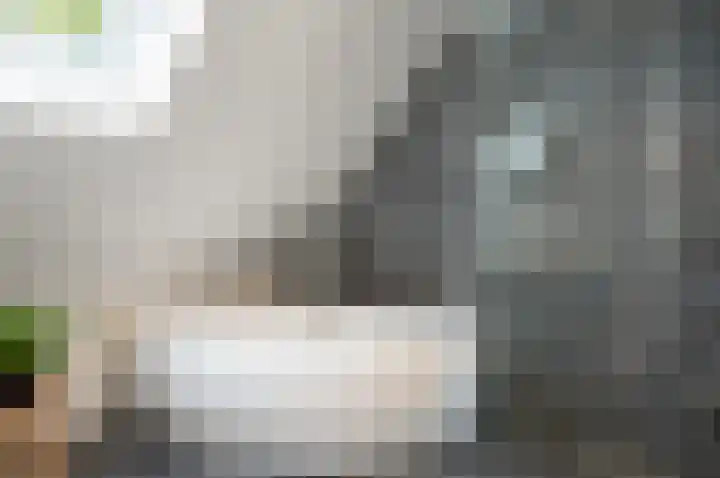 Waardeel 24 Drempt thumbnail 33