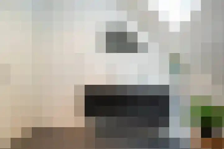 Waardeel 24 Drempt thumbnail 35