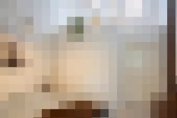 Waardeel 24 Drempt thumbnail 37
