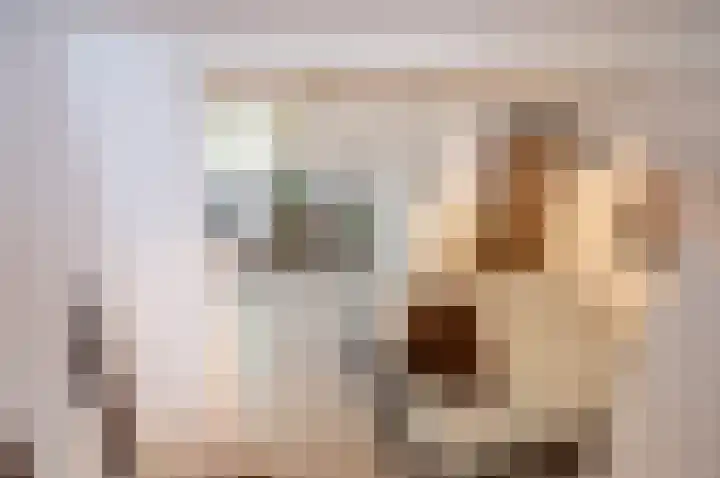 Waardeel 24 Drempt thumbnail 38