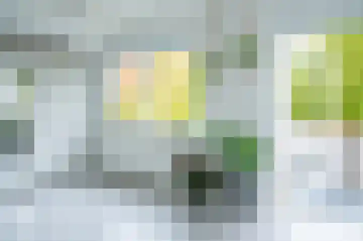 Waardeel 24 Drempt thumbnail 44