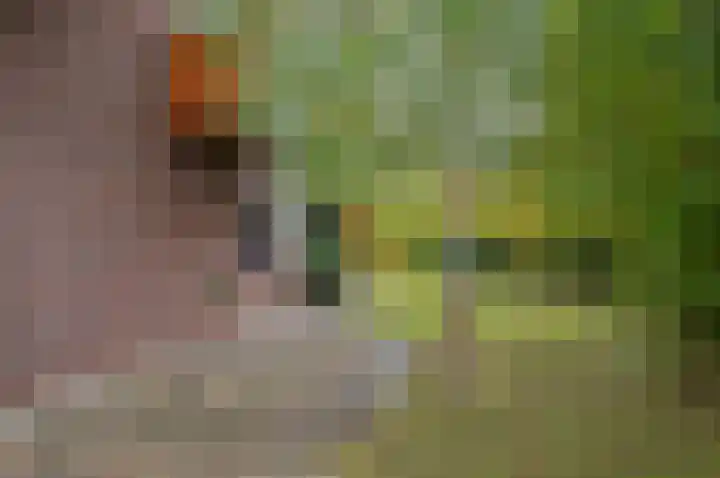 Waardeel 24 Drempt thumbnail 46