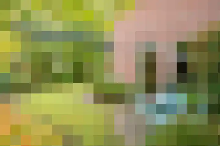Waardeel 24 Drempt thumbnail 50