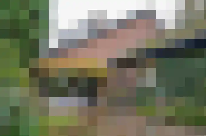 Waardeel 24 Drempt thumbnail 52