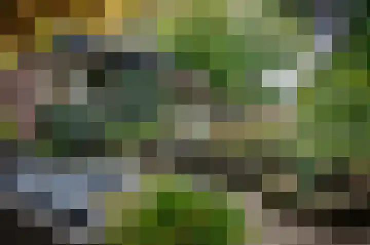 Waardeel 24 Drempt thumbnail 54