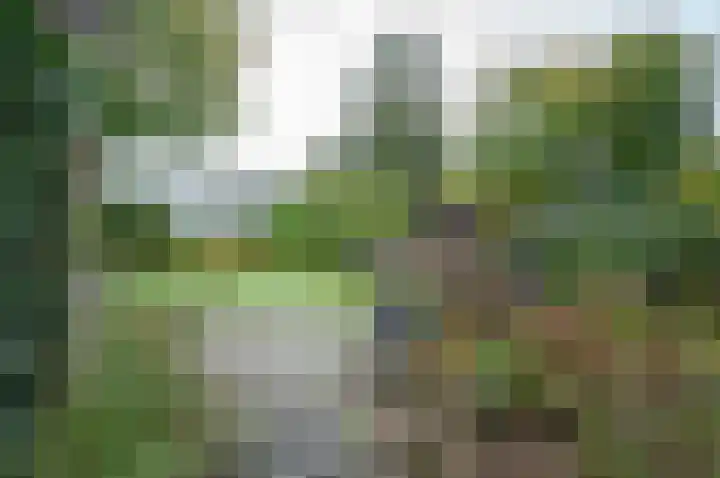 Waardeel 24 Drempt thumbnail 56