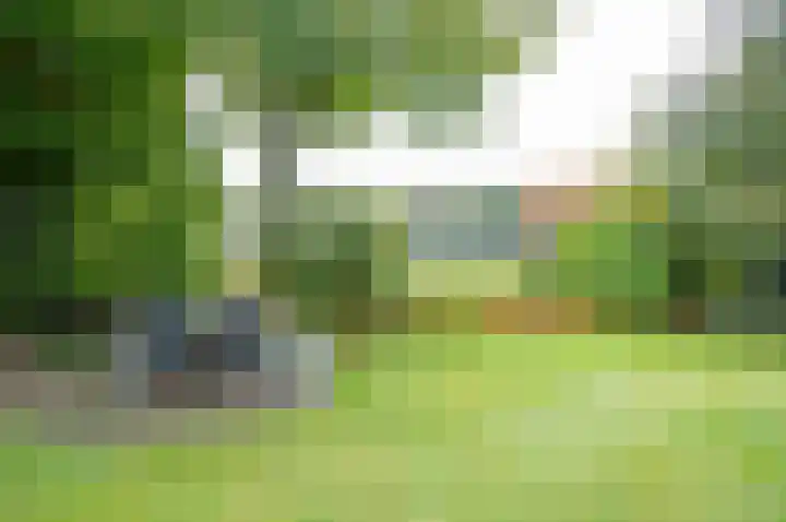 Waardeel 24 Drempt thumbnail 57