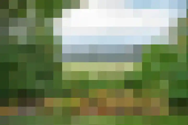 Waardeel 24 Drempt thumbnail 58