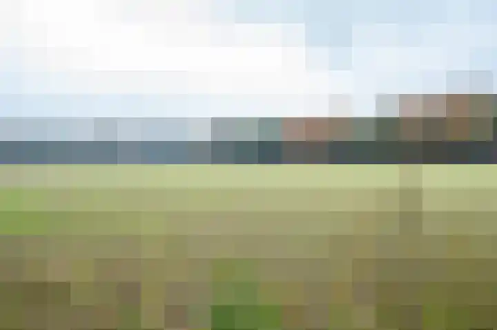 Waardeel 24 Drempt thumbnail 59