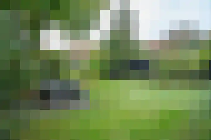 Waardeel 24 Drempt thumbnail 60