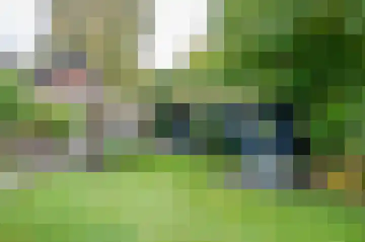 Waardeel 24 Drempt thumbnail 61