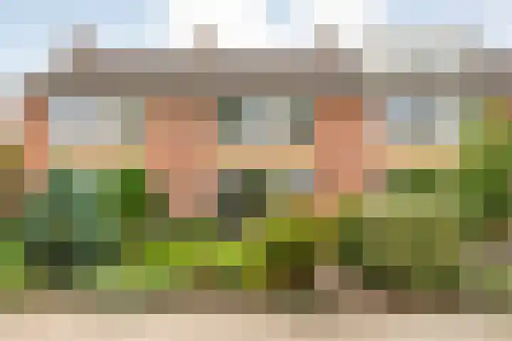 Waardeel 58 Steenwijk