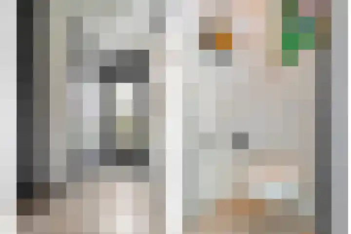 Waardeel 58 Steenwijk thumbnail 10