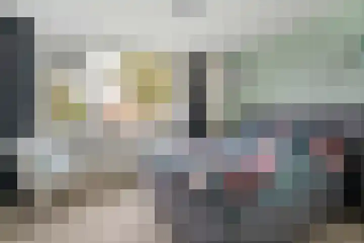 Waardeel 58 Steenwijk thumbnail 12