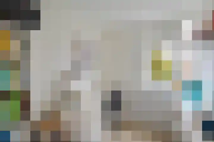 Waardeel 58 Steenwijk thumbnail 14