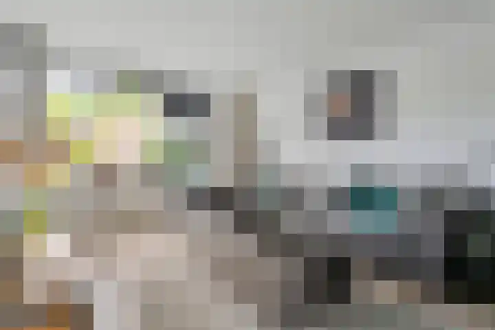 Waardeel 58 Steenwijk foto 2