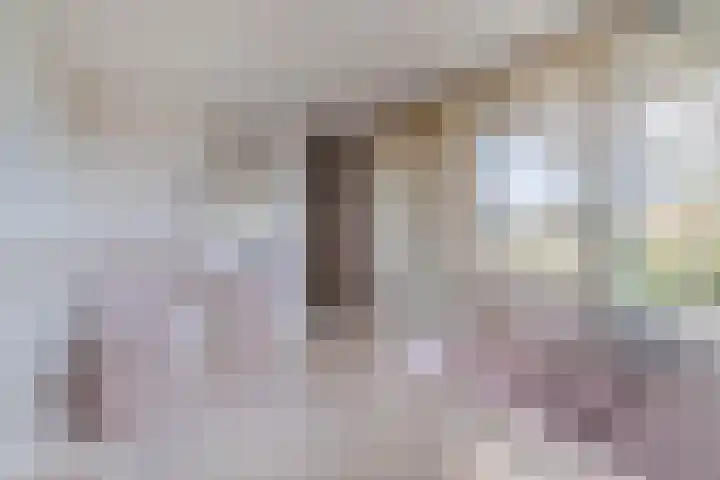 Waardeel 58 Steenwijk thumbnail 21