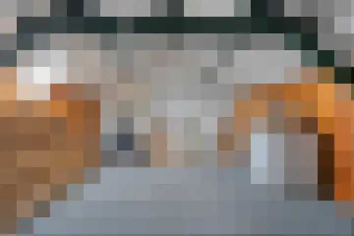 Waardeel 58 Steenwijk thumbnail 22