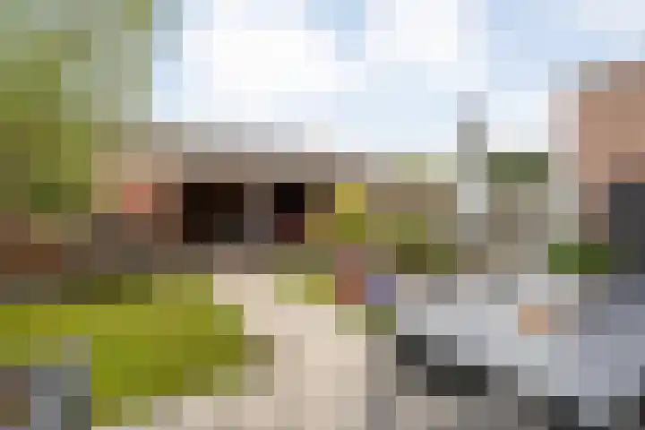 Waardeel 58 Steenwijk thumbnail 23